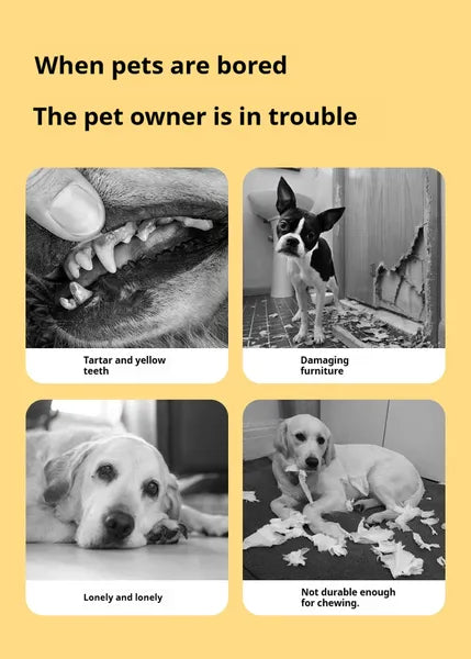 Fish-Shaped Dog Treat Dispenser Toy