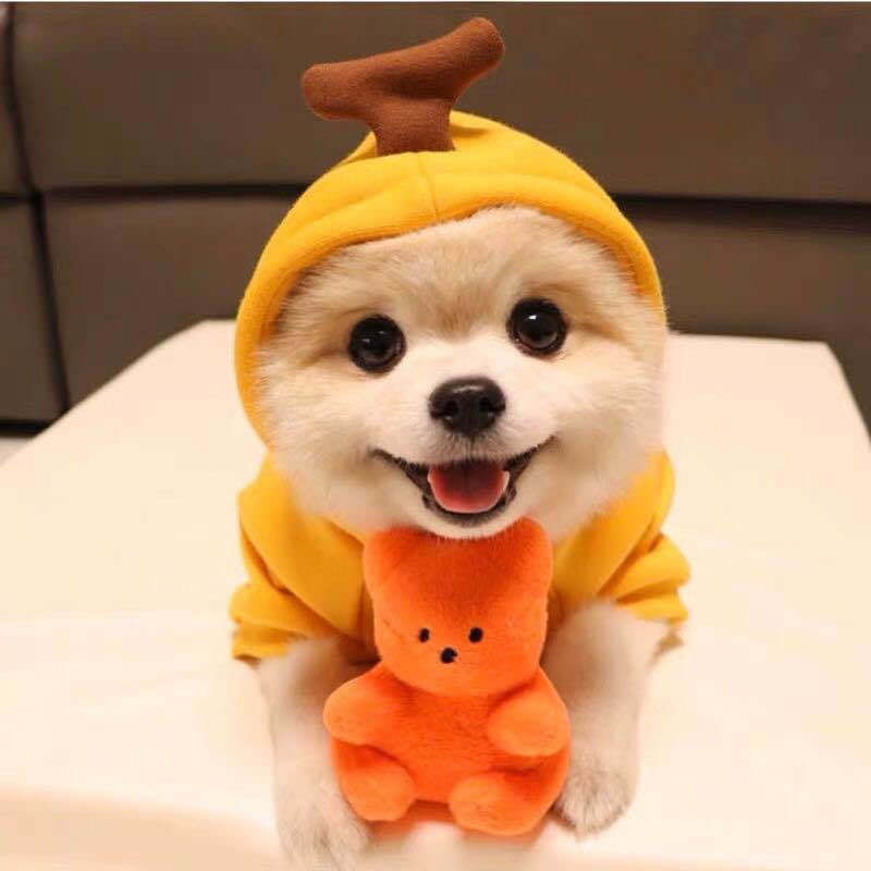 Cute Fruit Fleece Dog Hoodie Winter Coat