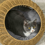 Rattan Cat Bed with Washable Cushion