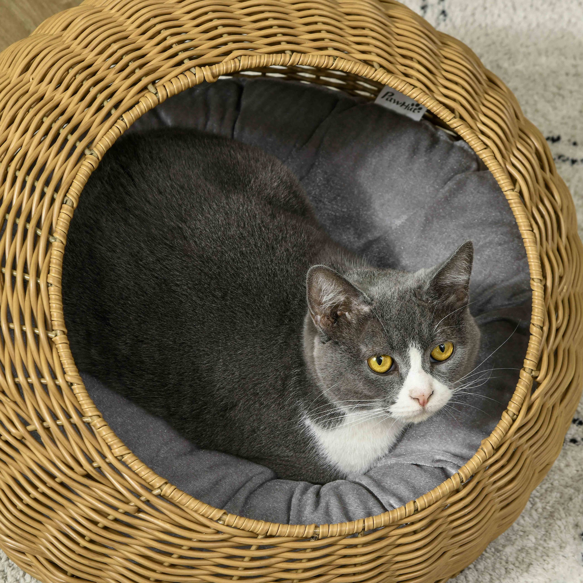 Rattan Cat Bed with Washable Cushion