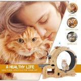 Cat Wheel 6-in-1 Cat Fitness Wheel