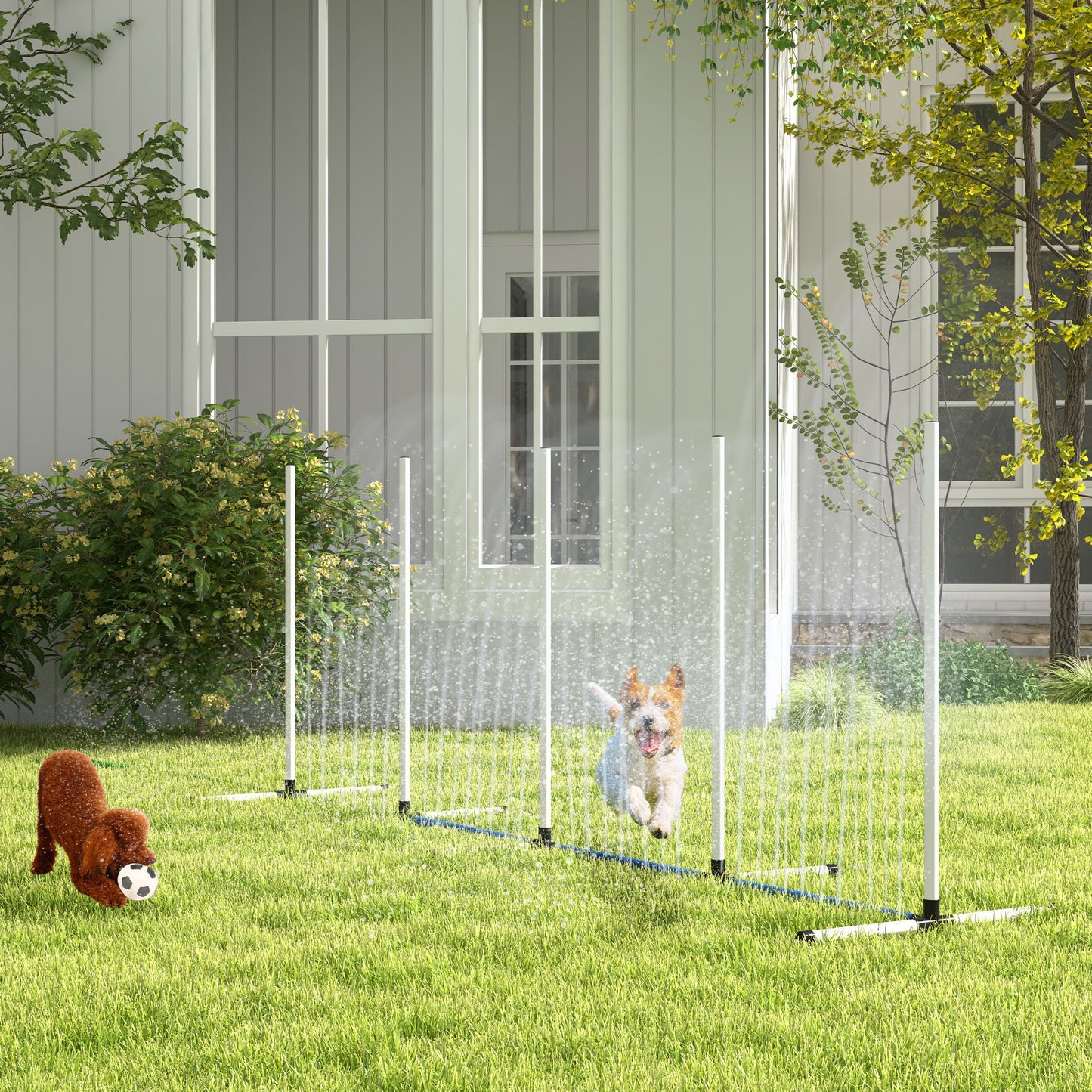 2-Piece Dog Agility Training Set