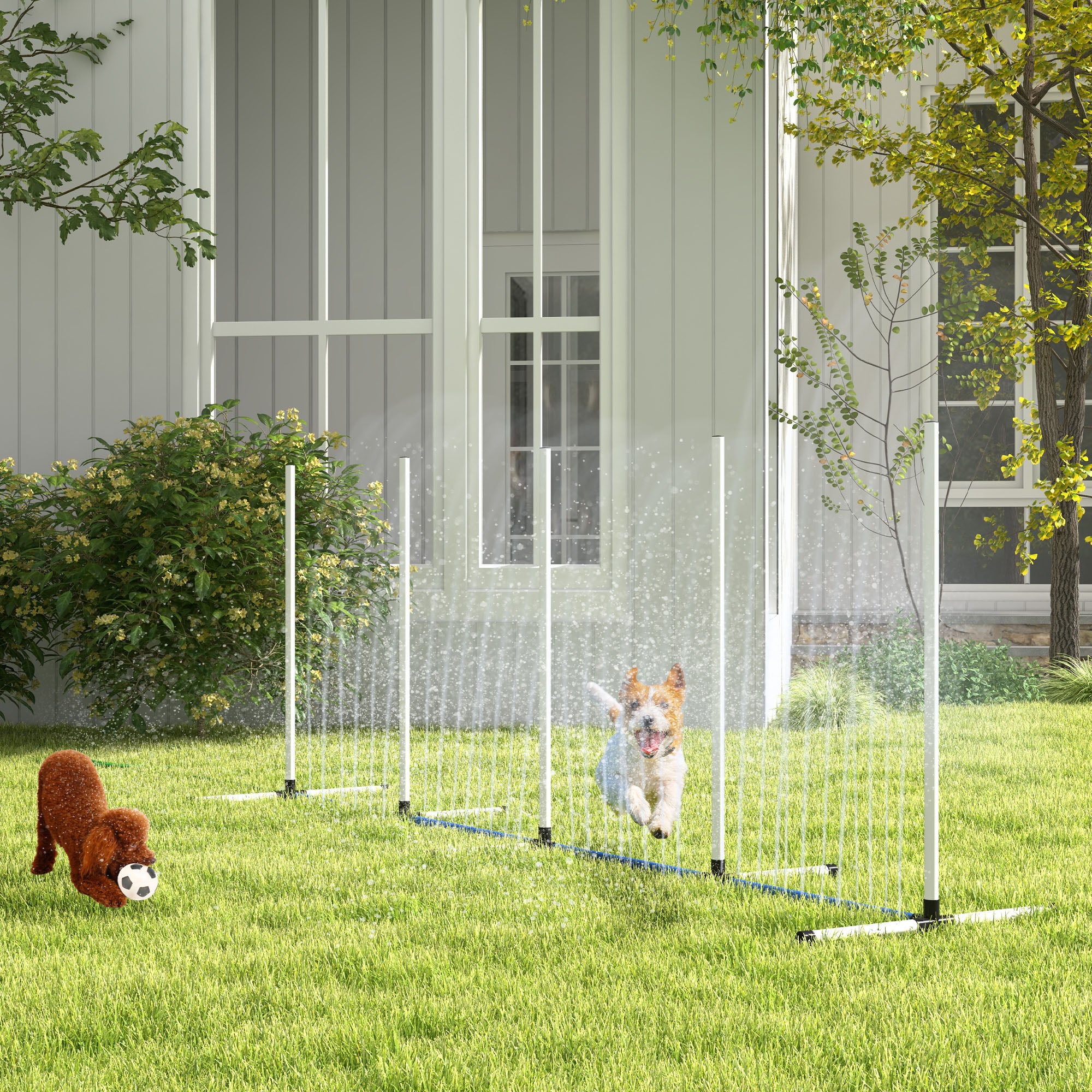 2-Piece Dog Agility Training Set