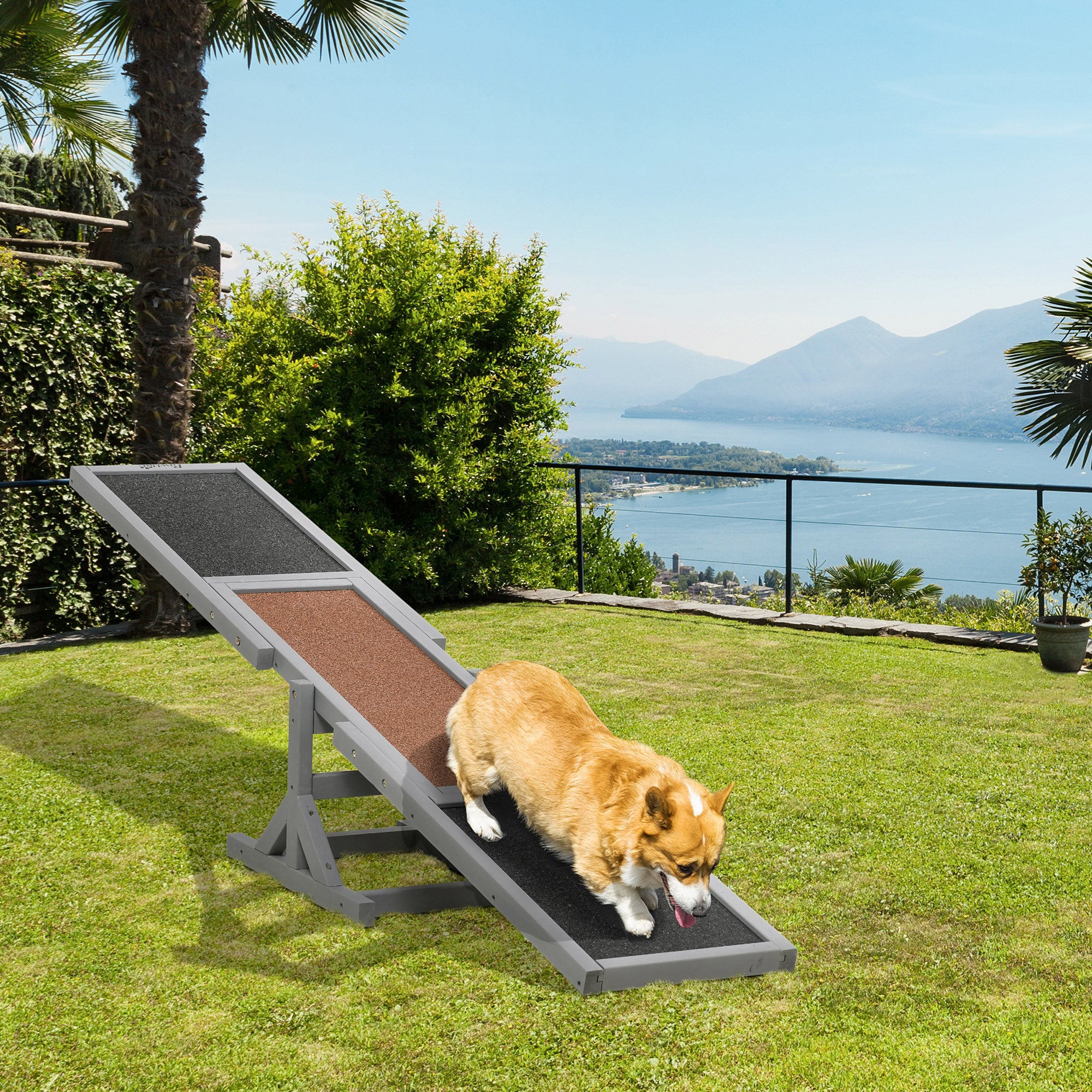 Dog Agility Seesaw Training Toy