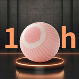 Interactive Rolling Cat Ball