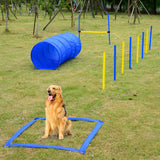 Dog Agility Training Kit