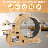 Cat Wheel 6-in-1 Cat Fitness Wheel