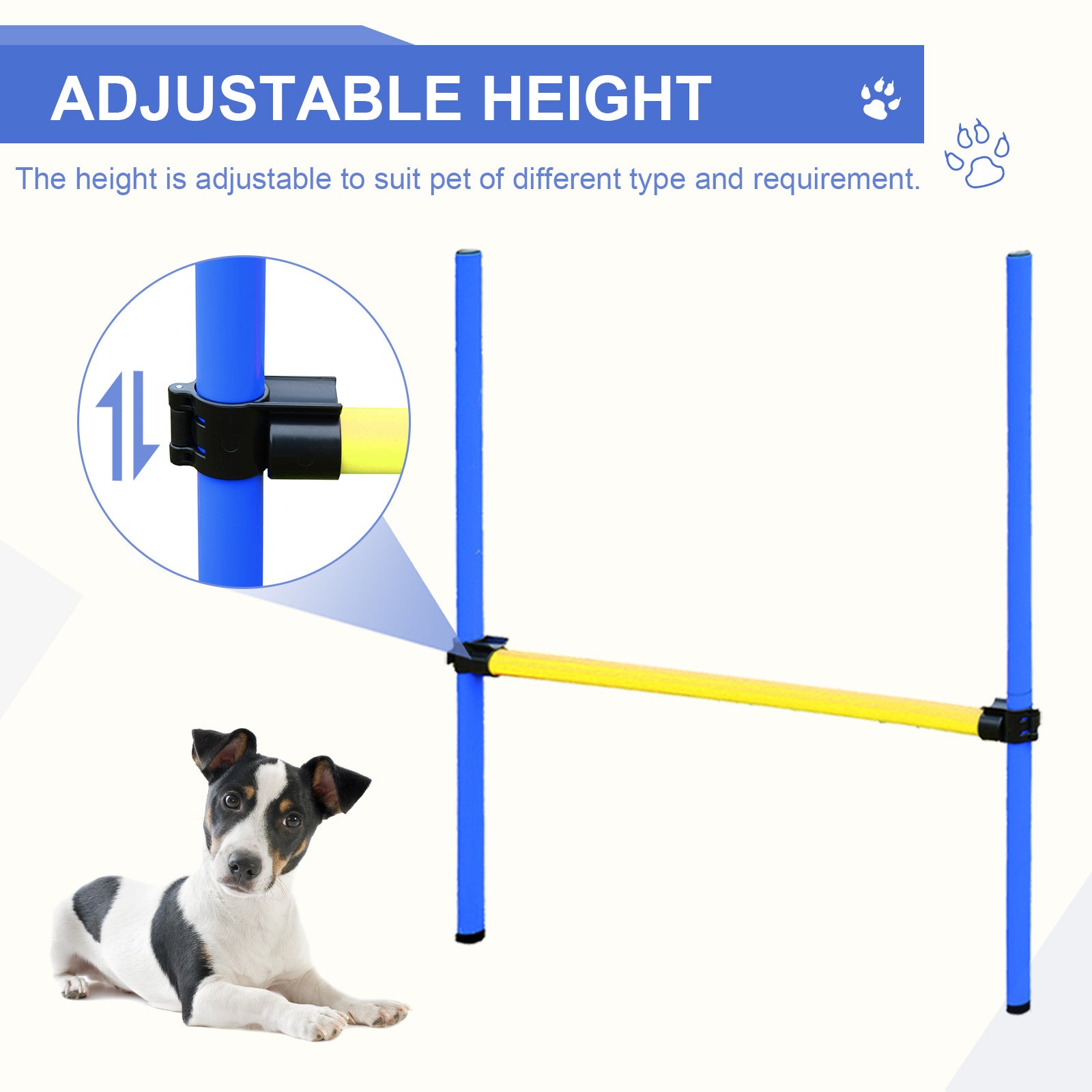 Dog Agility Training Kit