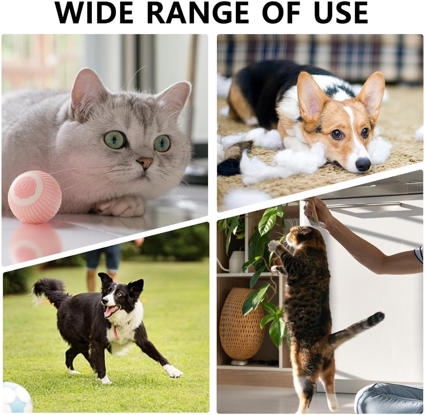 Interactive Rolling Cat Ball