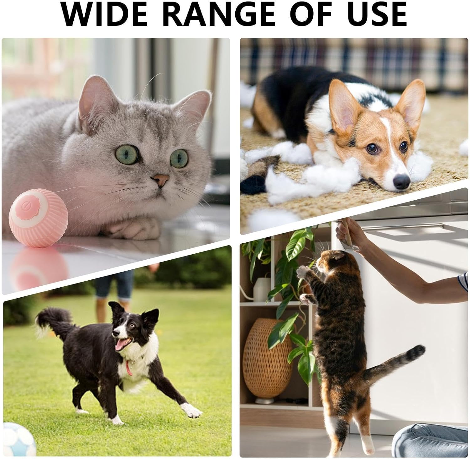 Interactive Rolling Cat Ball