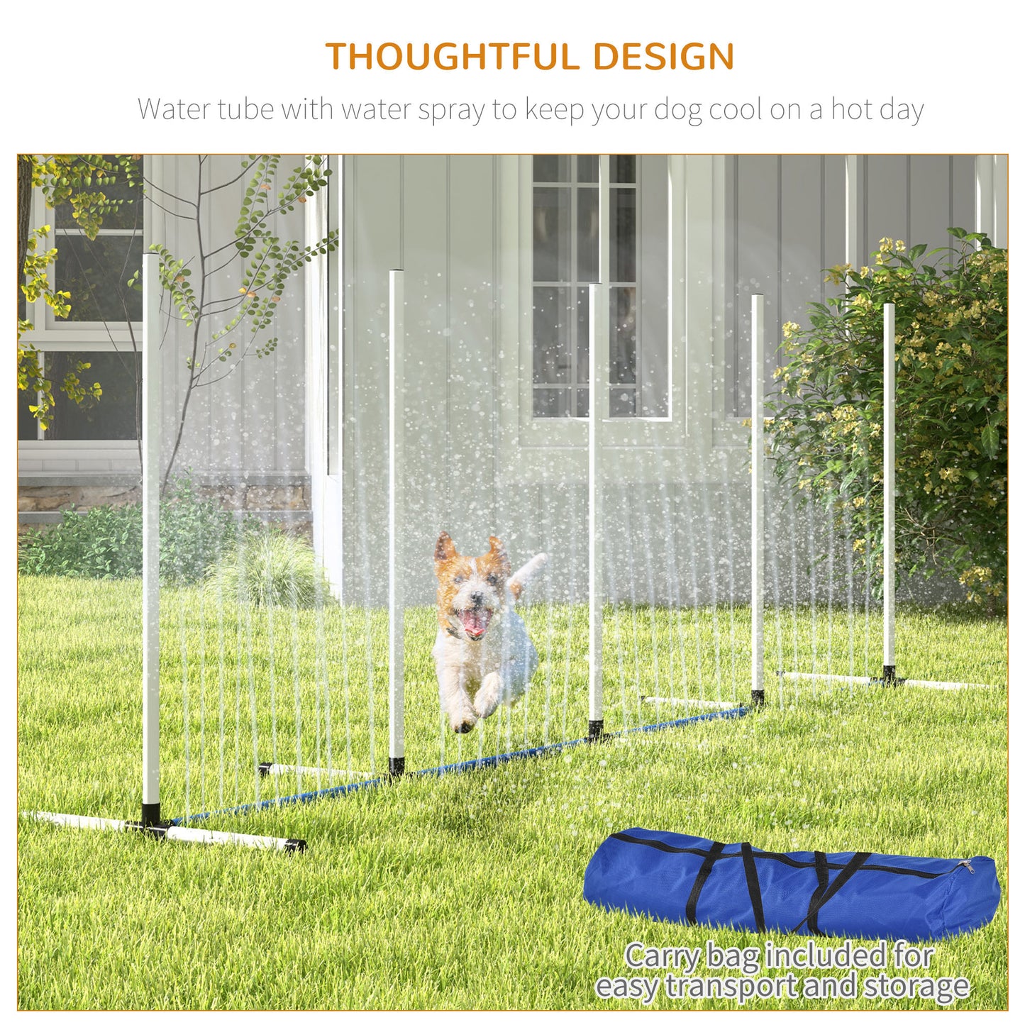2-Piece Dog Agility Training Set