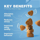 Hemp Calming Dog Chews Anxiety