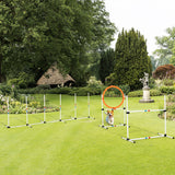 Dog Agility Training Kit