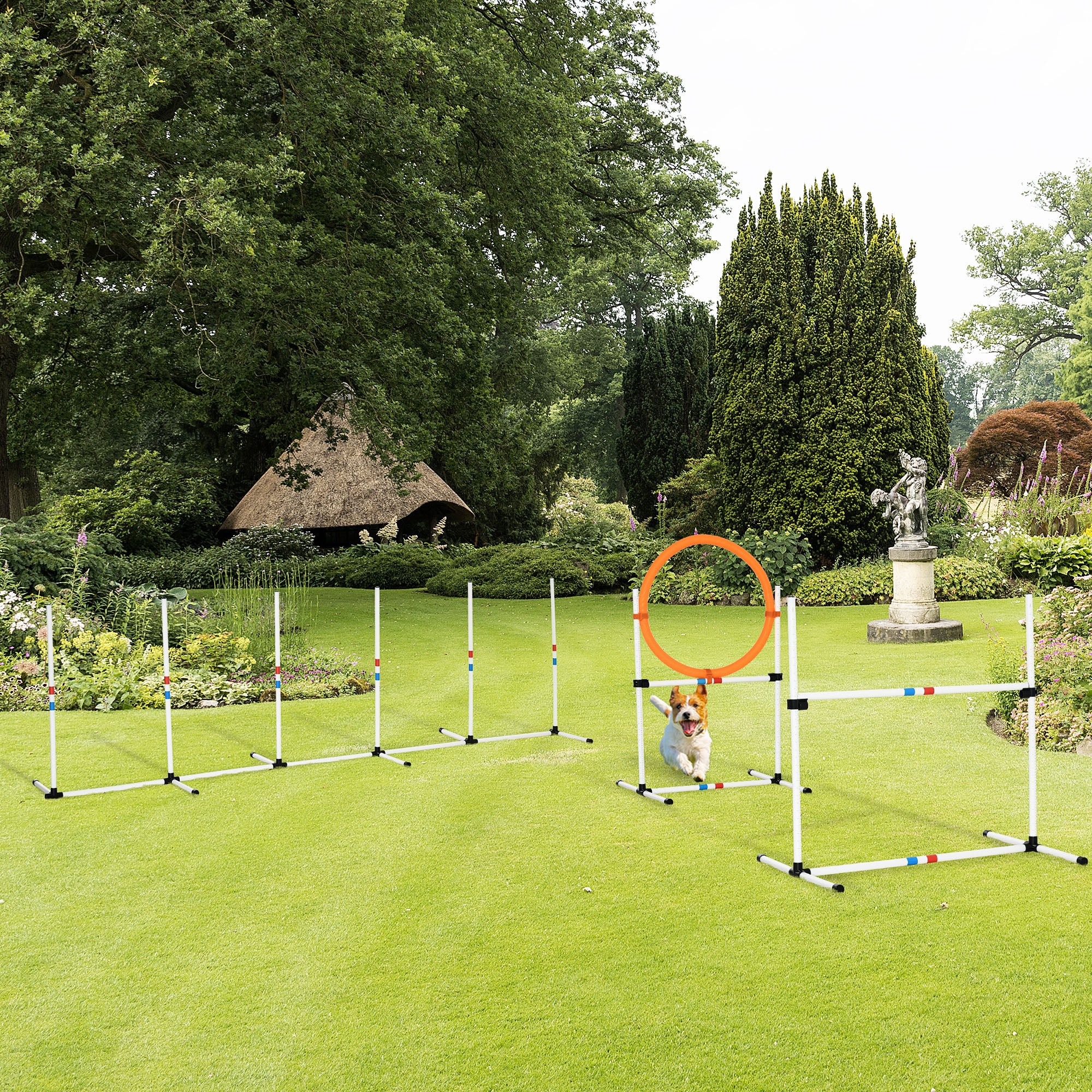 Dog Agility Training Kit